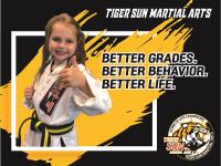 Tiger Sun Martial Arts image 8